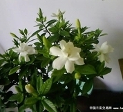 t01740c8690b644929a.webp.jpg
