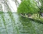 p250708895.webp.jpg