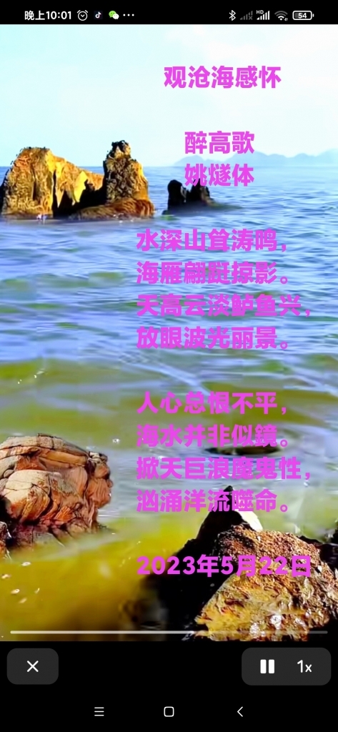 IMG_20230523_131032.jpg