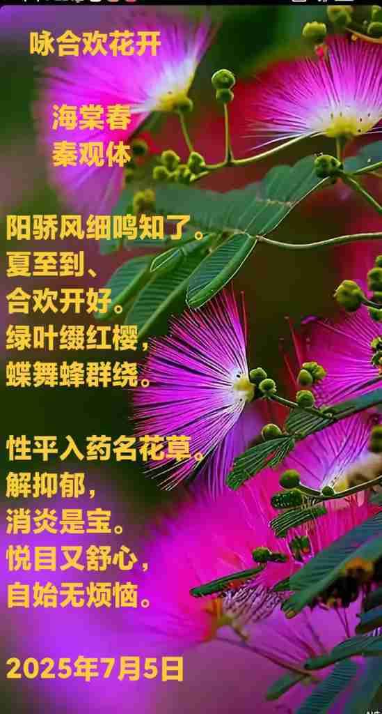 IMG_20250705_175723.jpg